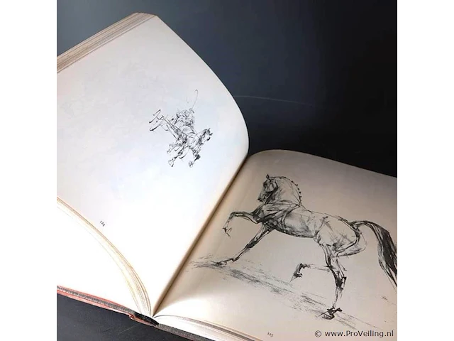Concours hippographique - afbeelding 4 van  5