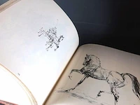 Concours hippographique - afbeelding 4 van  5