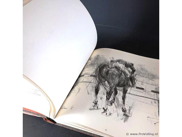 Concours hippographique - afbeelding 5 van  5