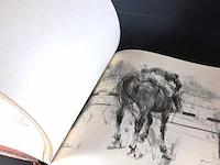 Concours hippographique - afbeelding 5 van  5