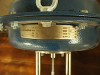Conovalve - afbeelding 4 van  4