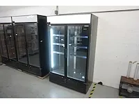 Coolpoint - dgdc 1000 h ral 9005 - koelkast (2x)