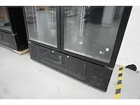 Coolpoint - dgdc 1000 h ral 9005 - koelkast (2x) - afbeelding 3 van  7