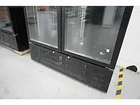 Coolpoint - dgdc 1000 h ral 9005 - koelkast - afbeelding 3 van  7