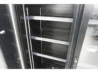 Coolpoint - dgdc 1000 h ral 9005 - koelkast - afbeelding 6 van  7