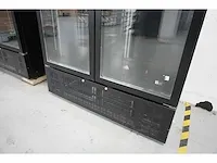 Coolpoint - dgdc 1000 h ral 9005 - koelkast - afbeelding 3 van  7