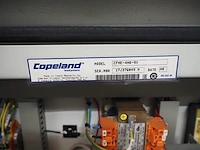 Copeland - afbeelding 2 van  13