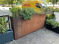 Cortenstalen plantenbak - afbeelding 1 van  3