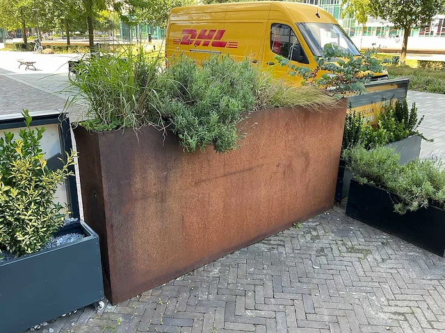 Cortenstalen plantenbak - afbeelding 1 van  3