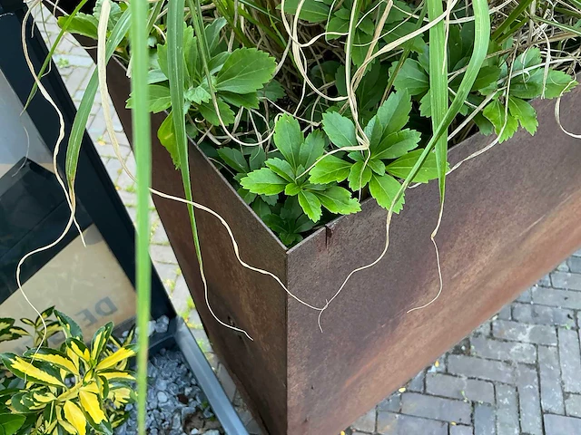 Cortenstalen plantenbak - afbeelding 3 van  3