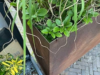 Cortenstalen plantenbak - afbeelding 3 van  3
