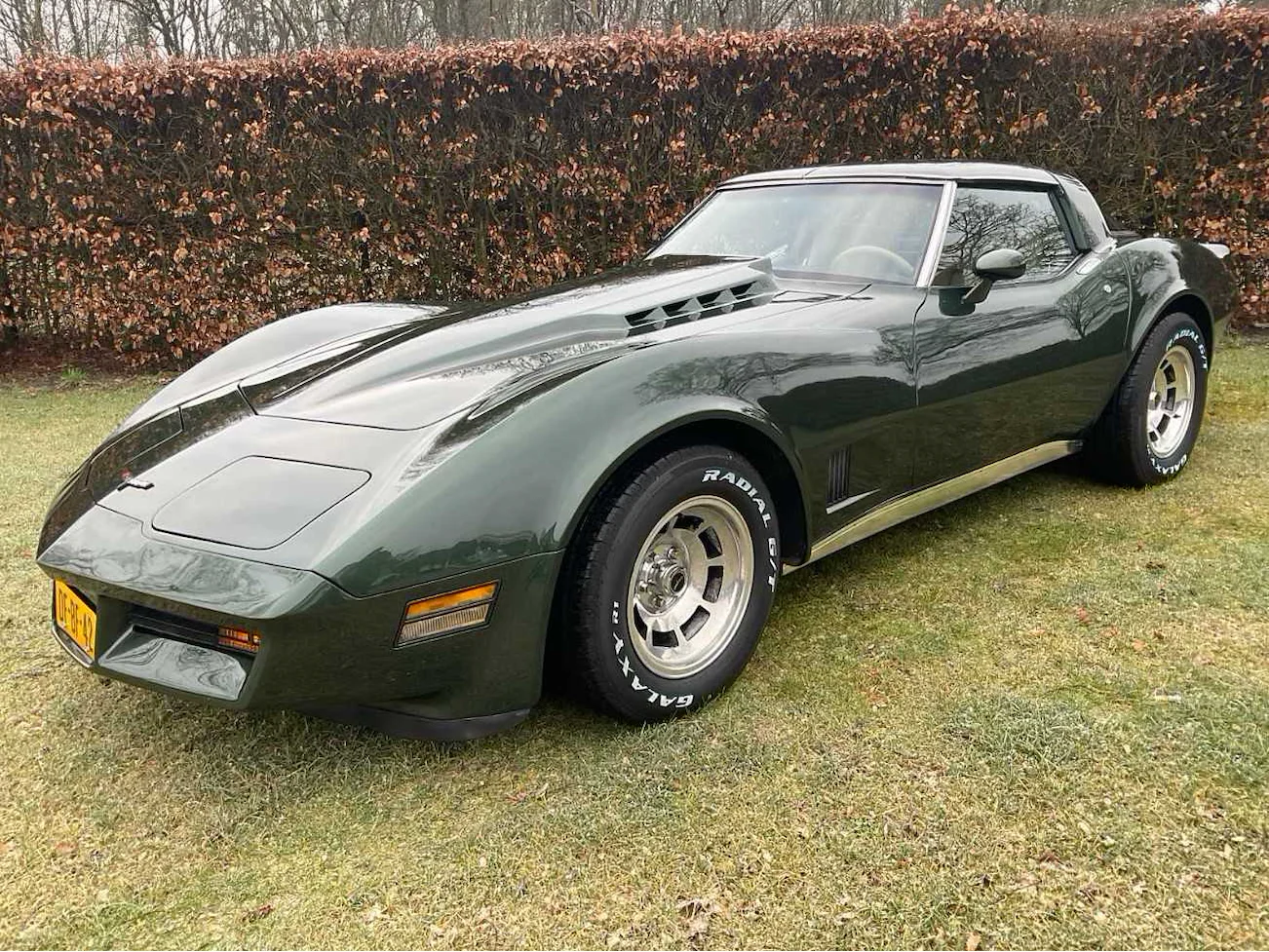 Corvette, camper, harley davidson en diverse machines
