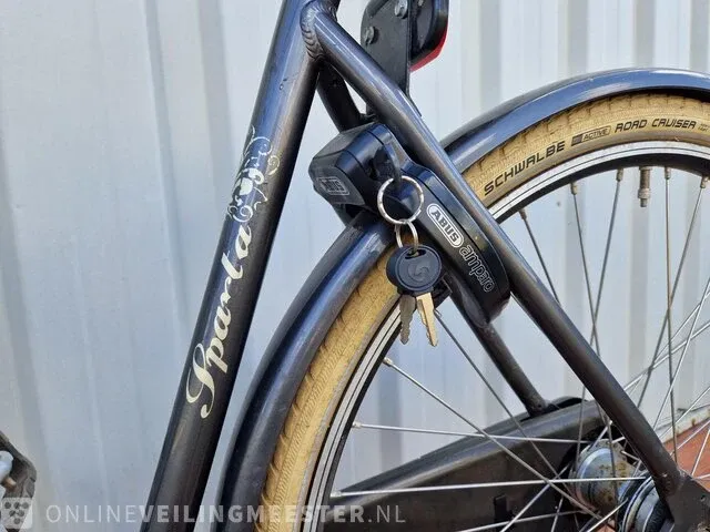 Country e-bike/ elektrische fiets sparta, grijs - afbeelding 2 van  11
