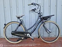 Country e-bike/ elektrische fiets sparta, grijs - afbeelding 1 van  11