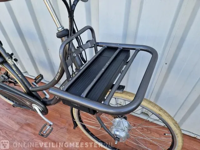 Country e-bike/ elektrische fiets sparta, grijs - afbeelding 6 van  11