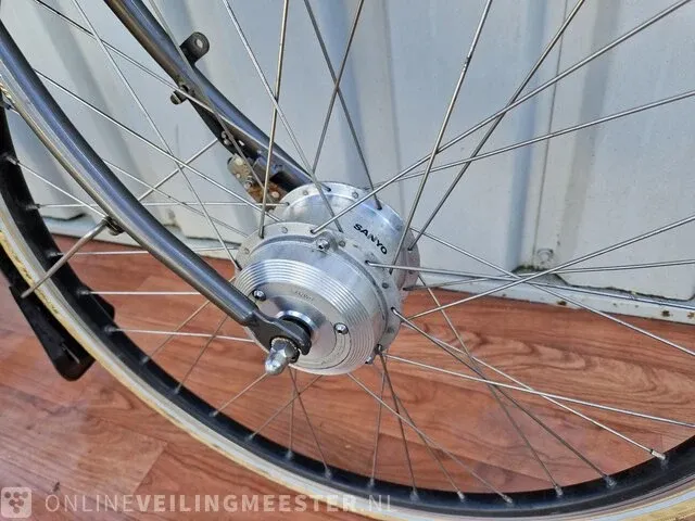 Country e-bike/ elektrische fiets sparta, grijs - afbeelding 7 van  11