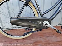 Country e-bike/ elektrische fiets sparta, grijs - afbeelding 8 van  11
