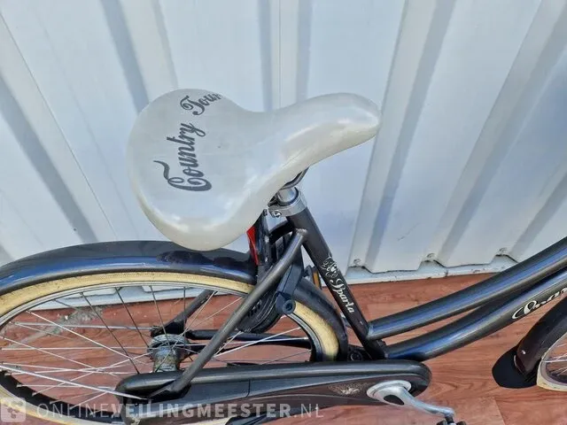 Country e-bike/ elektrische fiets sparta, grijs - afbeelding 9 van  11