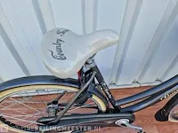 Country e-bike/ elektrische fiets sparta, grijs - afbeelding 9 van  11