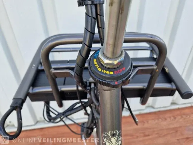 Country e-bike/ elektrische fiets sparta, grijs - afbeelding 11 van  11