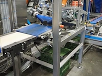Cps case packing systems - afbeelding 2 van  8
