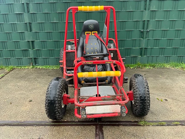 Crossbuggy - atv - afbeelding 18 van  22