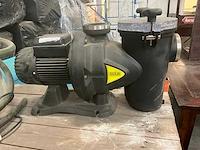 Dab/hendor waterpomp (2x) - afbeelding 2 van  5