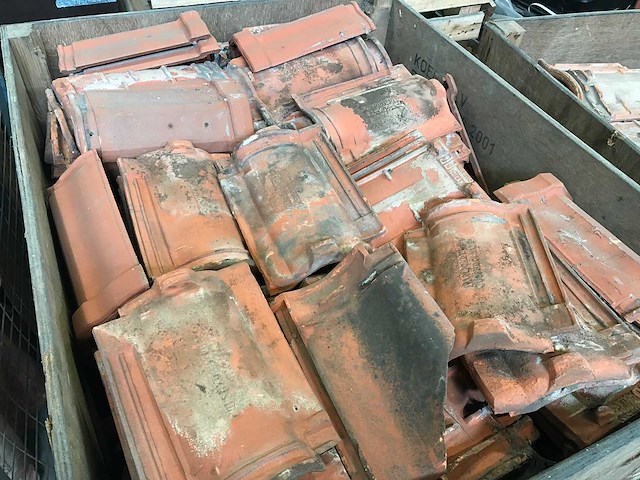 Dakpannen en vorsten (47x) - afbeelding 2 van  21