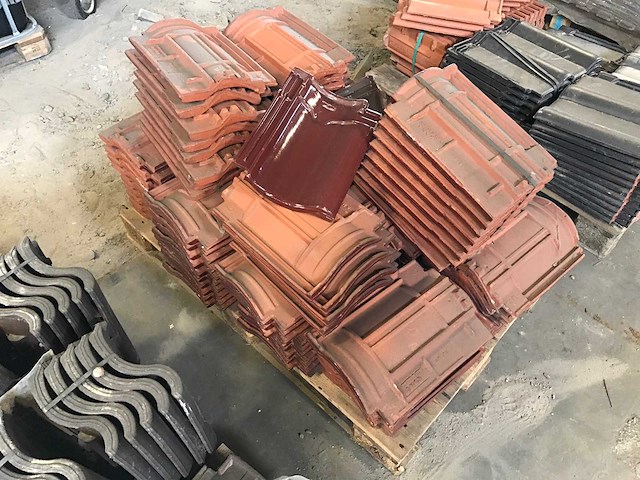 Dakpannen en vorsten (47x) - afbeelding 4 van  21