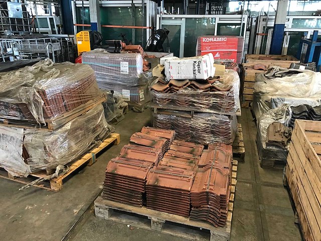 Dakpannen en vorsten (47x) - afbeelding 12 van  21