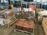 Dakpannen en vorsten (47x) - afbeelding 12 van  21