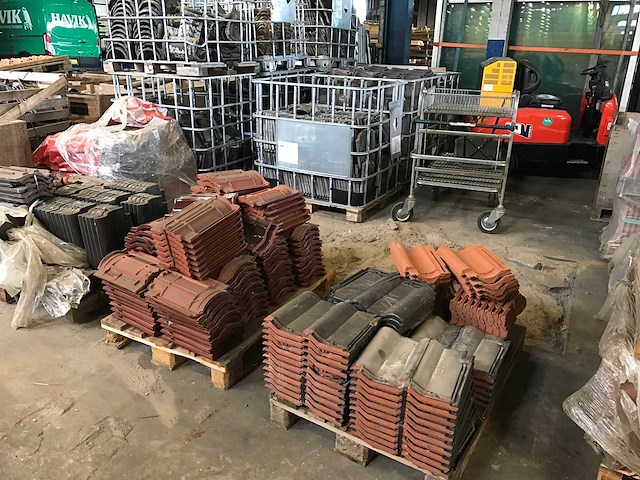 Dakpannen en vorsten (47x) - afbeelding 15 van  21