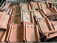 Dakpannen en vorsten (47x) - afbeelding 20 van  21