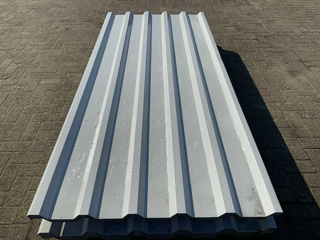 Dakpanplaat (100x) - afbeelding 3 van  3