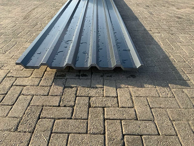 Dakplaat (20x) - afbeelding 3 van  3