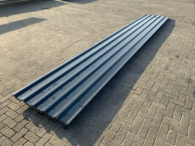 Dakplaat (20x) - afbeelding 1 van  3