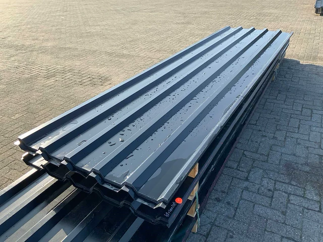 Dakplaat (43x) - afbeelding 1 van  4