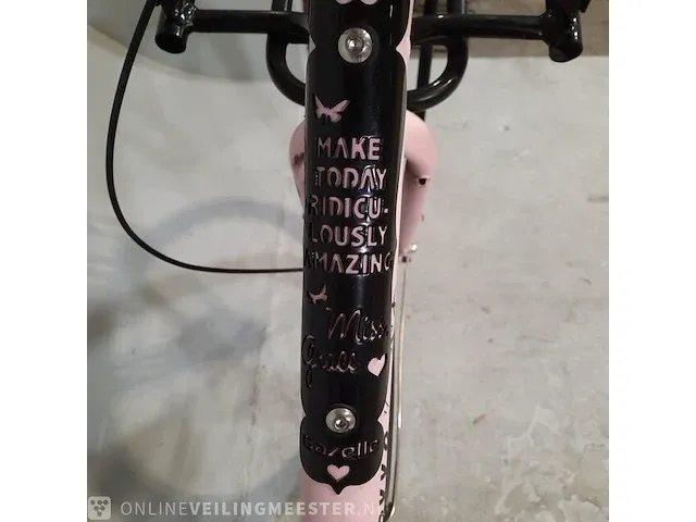 Dames transportfiets gazelle, miss grace - afbeelding 7 van  20