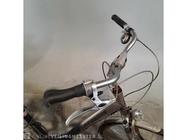 Damesfiets batavus, green parks - afbeelding 11 van  17
