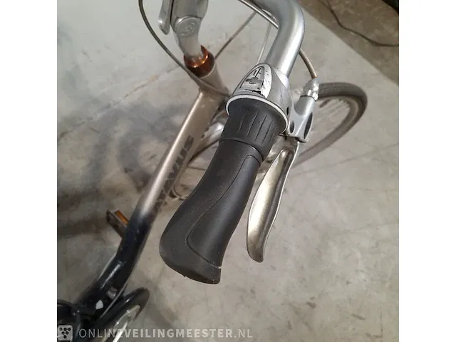 Damesfiets batavus, green parks - afbeelding 14 van  17