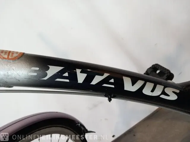 Damesfiets batavus, holiday, blauw - afbeelding 17 van  17