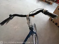 Damesfiets batavus, mambo, blauw - afbeelding 17 van  17