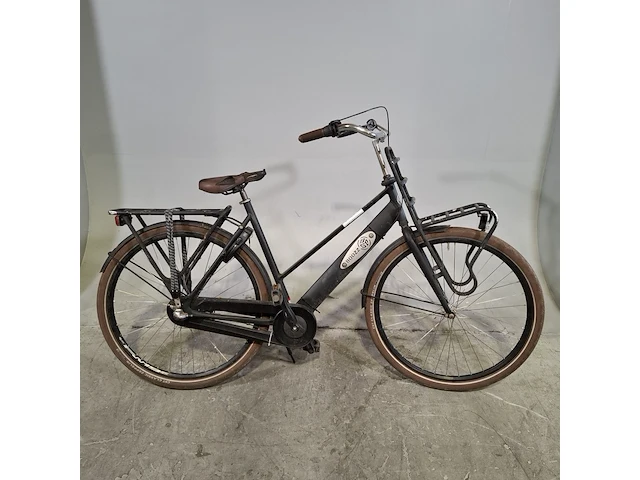 Damesfiets, bsp, boozz - afbeelding 1 van  19