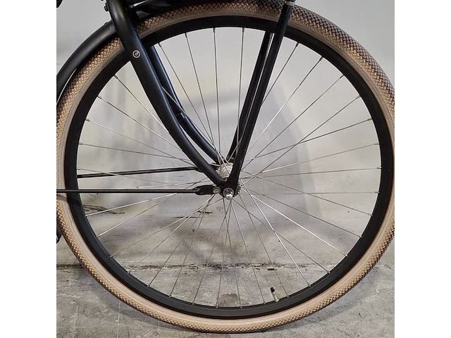 Damesfiets, cortina, transport u4 - afbeelding 13 van  13