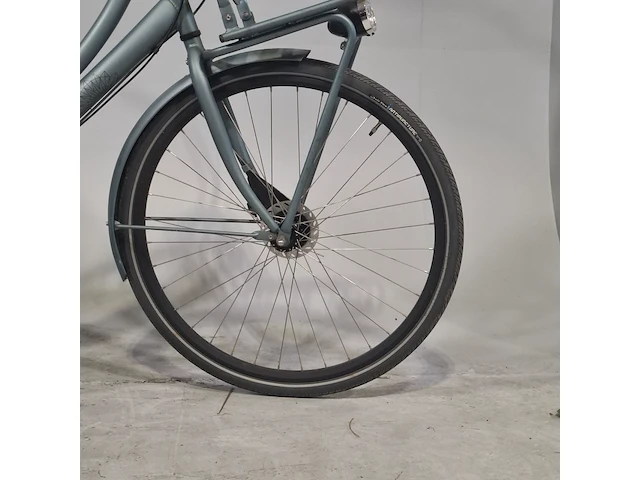 Damesfiets, cortina, u4 family - afbeelding 13 van  14