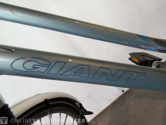 Damesfiets giant, escaper, lichtblauw - afbeelding 3 van  16
