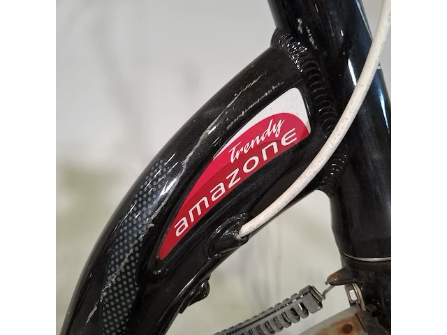 Damesfiets sparta, trendy amazone - afbeelding 4 van  11