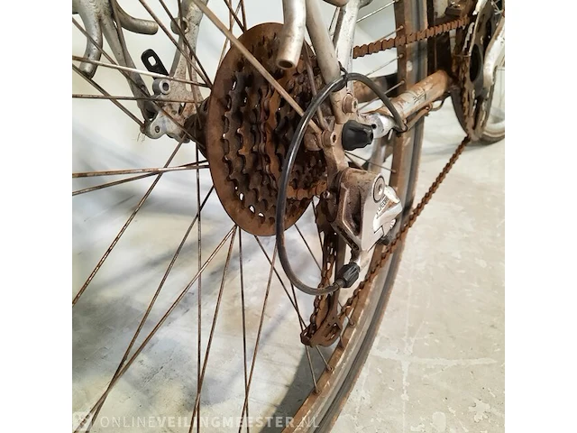 Damesfiets trek, tsoc+ - afbeelding 13 van  18