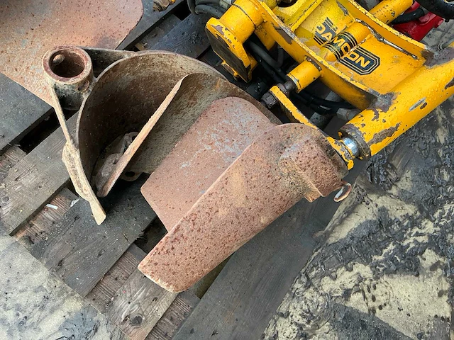 Damoon bomenrooier - afbeelding 2 van  14