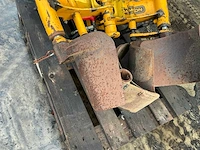 Damoon bomenrooier - afbeelding 4 van  14